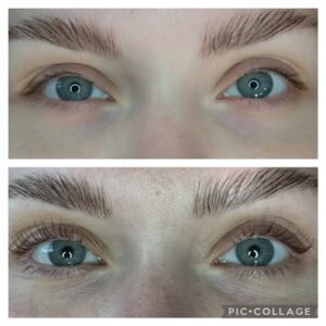 Collage_2023-01-02_11_48_53